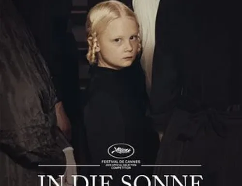 IN DIE SONNE SCHAUEN
