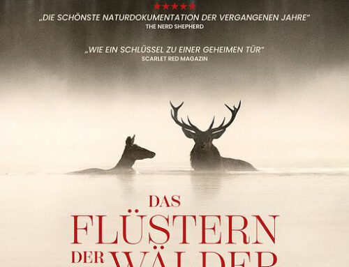 DAS FLÜSTERN DER WÄLDER
